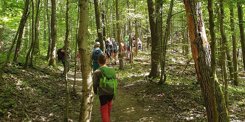 Foto: NAJU Saar | Janine Schording